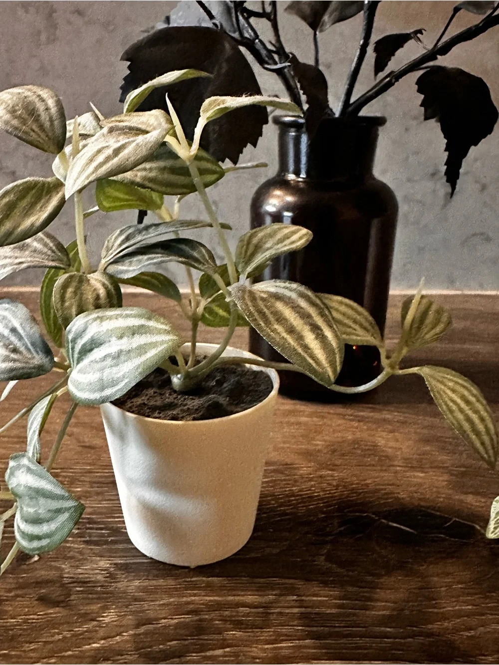Bundle of 4 Faux Plants🪴